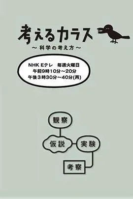 《像乌鸦一样思考》：一场园区潜行的致命游戏，看得我心惊肉跳！