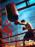 《我是拳手》：致敬格斗精神的燃情史诗，热血搏击点燃生命无限可能