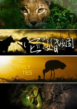《它们的婚姻》：这场婚姻简直是‘玻璃鞋上的独舞’，女性独立觉醒的史诗！