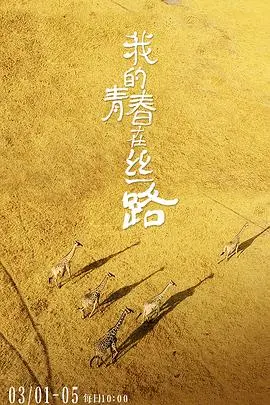 《我的青春在丝路》：青春的激扬与丝路的传奇，一段关于梦想、奋斗与文化交融的精彩故事