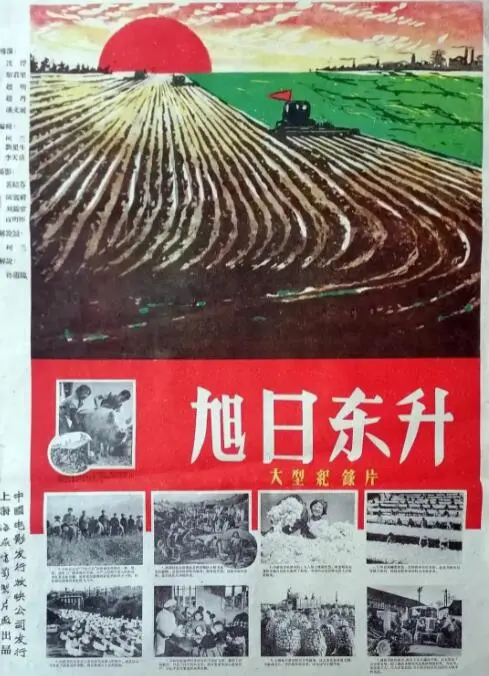 《旭日东升》：热血沸腾！这体育片看得我肾上腺素飙升，给导演加鸡腿！